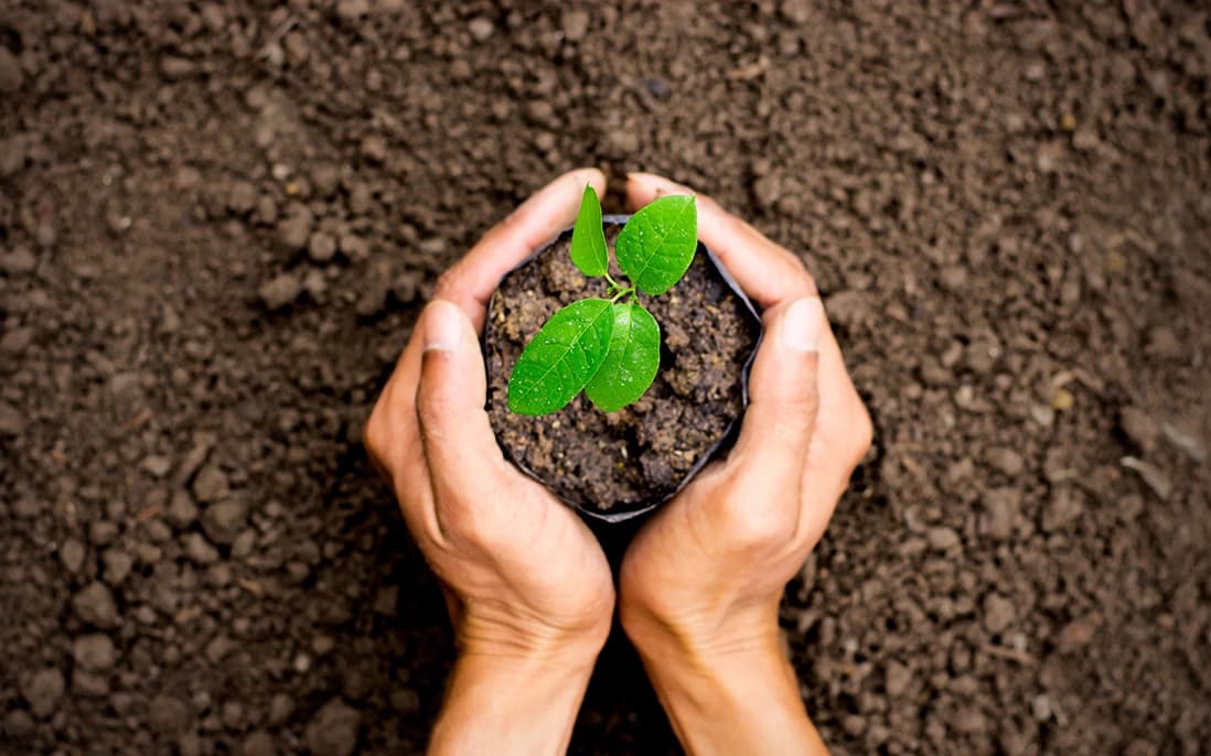 Green resource
